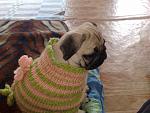     
: 02052009126.jpg
: 40
:	151.9 
ID:	726125