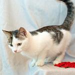     
: DSC_0041.jpg
: 3
:	43.1 
ID:	7261838