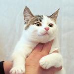     
: DSC_0050_2.jpg
: 3
:	36.0 
ID:	7261840