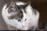     
: DSC_0147.jpg
: 4
:	35.1 
ID:	7261845