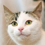     
: DSC_00451.jpg
: 4
:	44.4 
ID:	7261846