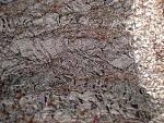     
: 25-P1010050.JPG
: 11
:	103.5 
ID:	7262667