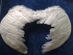     
: 20131125_095414.jpg
: 15
:	101.1 
ID:	7263539