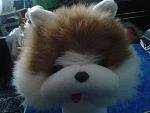     
: 20131125_095647.jpg
: 16
:	117.0 
ID:	7263547