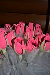     
: DSC_0182.jpg
: 47
:	64.2 
ID:	7264074