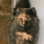     
: DSC_0116.jpg
: 7
:	54.7 
ID:	7265352