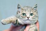     
: DSC_0142.jpg
: 19
:	34.0 
ID:	7265633