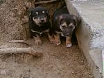     
: Фото-0050.jpg
: 8
:	137.4 
ID:	7265763