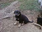     
: Фото-0049.jpg
: 5
:	207.6 
ID:	7265767