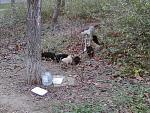     
: Фото-0051.jpg
: 5
:	216.7 
ID:	7265770