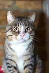     
: DSC_0187.jpg
: 2
:	39.8 
ID:	7266197