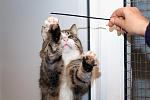     
: DSC_0207.jpg
: 3
:	35.4 
ID:	7266199