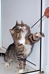     
: DSC_0212_1.jpg
: 3
:	35.5 
ID:	7266200