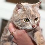     
: DSC_0223.jpg
: 6
:	54.5 
ID:	7266455