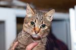     
: DSC_0232.jpg
: 6
:	39.4 
ID:	7266493