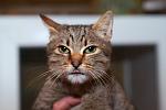     
: DSC_0234.jpg
: 4
:	28.4 
ID:	7266497