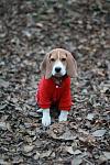     
: IMG_7224.jpg
: 21
:	99.6 
ID:	7268938