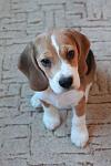     
: IMG_7124.jpg
: 16
:	57.3 
ID:	7268966