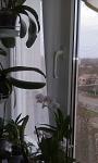     
: IMAG0144.jpg
: 11
:	68.5 
ID:	7277240