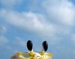     
: 3makro2.jpg
: 13
:	16.7 
ID:	727765