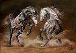     
: IMG_4589.jpg
: 86
:	95.6 
ID:	7280047