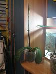     
: IMG_3673.jpg
: 13
:	87.2 
ID:	7280481