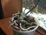     
: IMG_3677.jpg
: 12
:	145.1 
ID:	7280500