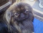     
: Img00022.jpg
: 96
:	182.7 
ID:	728374