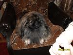     
: SAM_0095.jpg
: 103
:	106.4 
ID:	728382