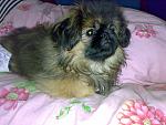     
: 01012010397.jpg
: 102
:	161.9 
ID:	728426