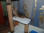     
: DSC00506.jpg
: 7
:	57.6 
ID:	7290471
