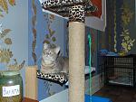     
: DSC00513.jpg
: 9
:	67.5 
ID:	7290472