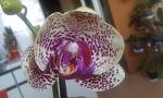     
: IMAG0158.jpg
: 5
:	95.4 
ID:	7291874