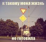     
: 32.jpg
: 12
:	47.4 
ID:	7292054