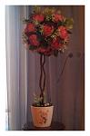     
: 20131030_141617.jpg
: 9
:	55.2 
ID:	7292351