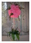     
: 20131016_123225.jpg
: 9
:	104.7 
ID:	7292355