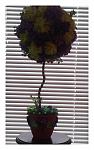     
: 20131030_141929.jpg
: 9
:	71.1 
ID:	7292356