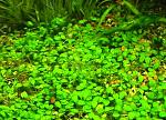     
: 2013-11-29_223147.jpg
: 8
:	122.7 
ID:	7292396