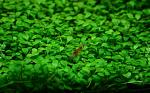     
: 2013-11-29_223218.jpg
: 7
:	95.5 
ID:	7292397