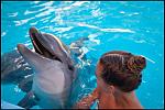     
: image.jpg
: 20
:	149.3 
ID:	7293923