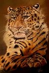     
: IMG_3993.JPG
: 40
:	64.9 
ID:	7298885