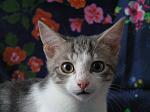     
: PC010738_01.jpg
: 13
:	59.0 
ID:	7300129