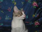     
: PC010757_01.jpg
: 17
:	57.7 
ID:	7300176