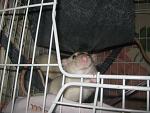     
: IMG_9420.jpg
: 6
:	143.6 
ID:	7301385