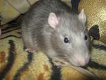     
: IMG_9484.jpg
: 7
:	108.5 
ID:	7301466