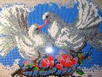     
: IMG_5955.jpg
: 5
:	310.1 
ID:	7304025