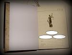     
: SDC11553.JPG
: 10
:	132.7 
ID:	7304524