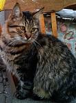     
: 2013-11-30 14.38.35.jpg
: 20
:	120.8 
ID:	7305613