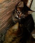     
: 2013-11-30 14.36.02.jpg
: 22
:	81.5 
ID:	7305614