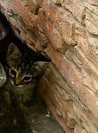    
: 2013-11-30 14.36.29.jpg
: 17
:	107.9 
ID:	7305615